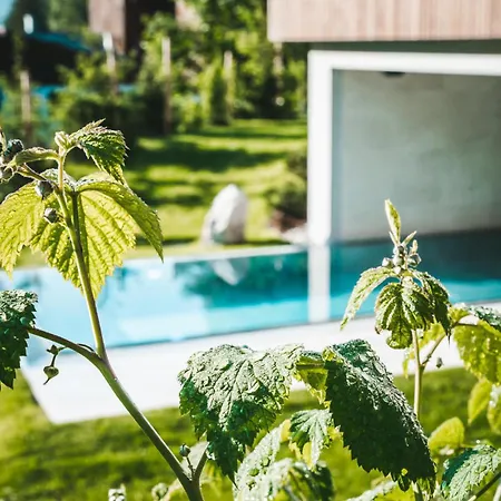 Haus Jausern Otel Saalbach-Hinterglemm